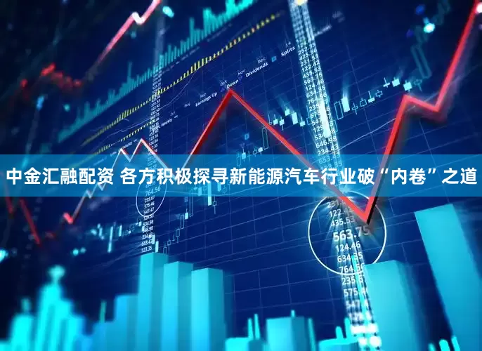 中金汇融配资 各方积极探寻新能源汽车行业破“内卷”之道