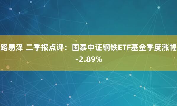 路易泽 二季报点评：国泰中证钢铁ETF基金季度涨幅-2.89%