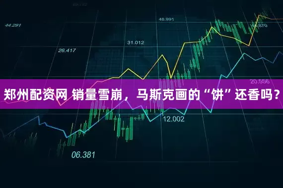 郑州配资网 销量雪崩，马斯克画的“饼”还香吗？