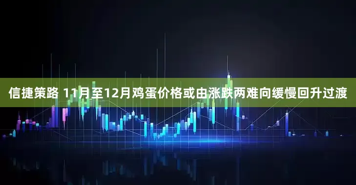 信捷策路 11月至12月鸡蛋价格或由涨跌两难向缓慢回升过渡