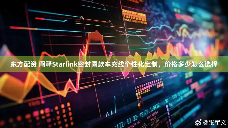 东方配资 阐释Starlink密封圈款车充线个性化定制，价格多少怎么选择